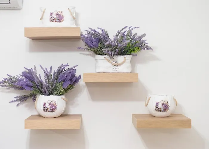 Viola Flat 303 Apartmán